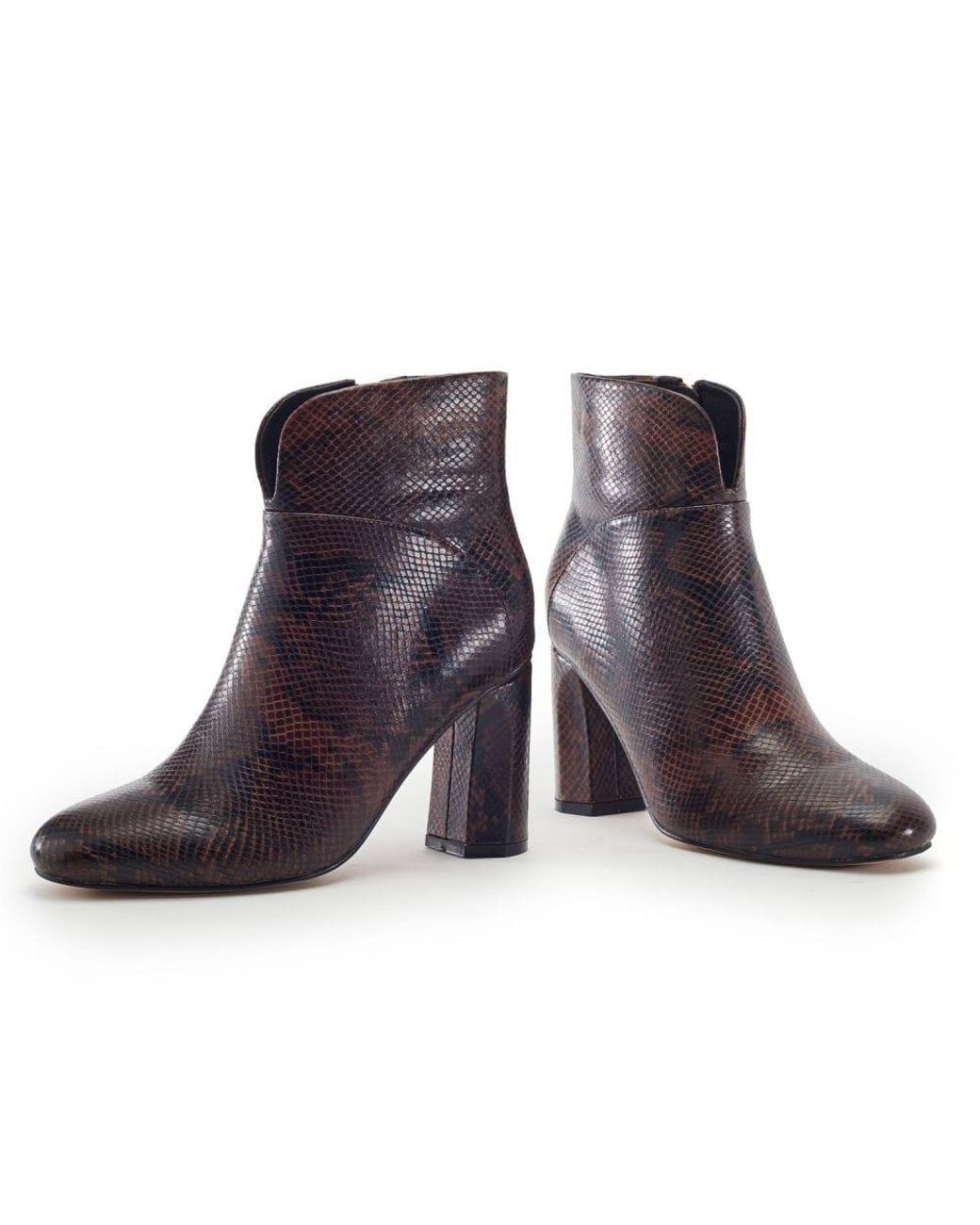 Moda In Pelle Purple Percival Dark Snake Print