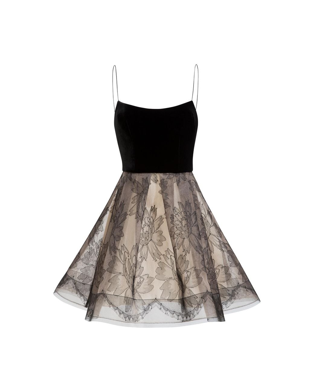 Alex Perry Hensley Velvet Lace Mini Dress in Black | Lyst