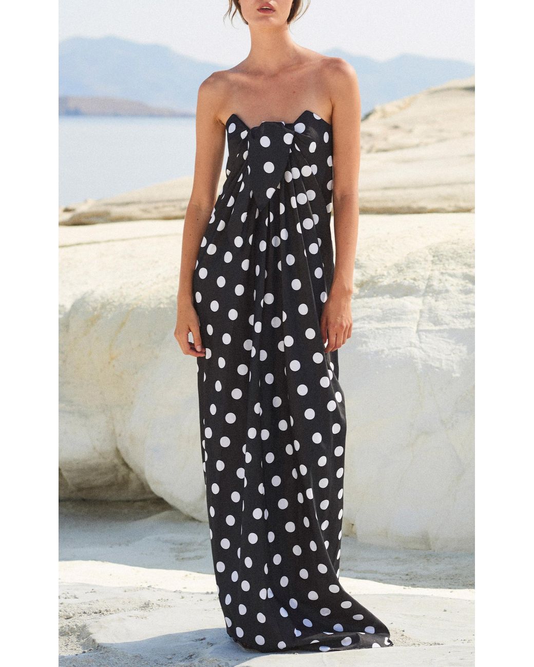 Caroline constas maxi dress sale