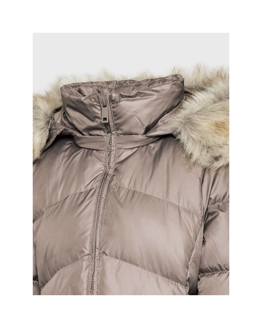 Calvin Klein Natural Daunenjacke Essential K20K205144 Regular Fit