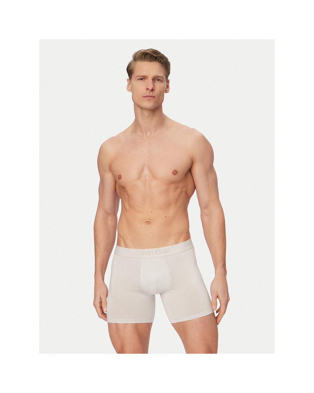 Calvin Klein Boxershorts-Set 000Nb3652A in Gray für Herren