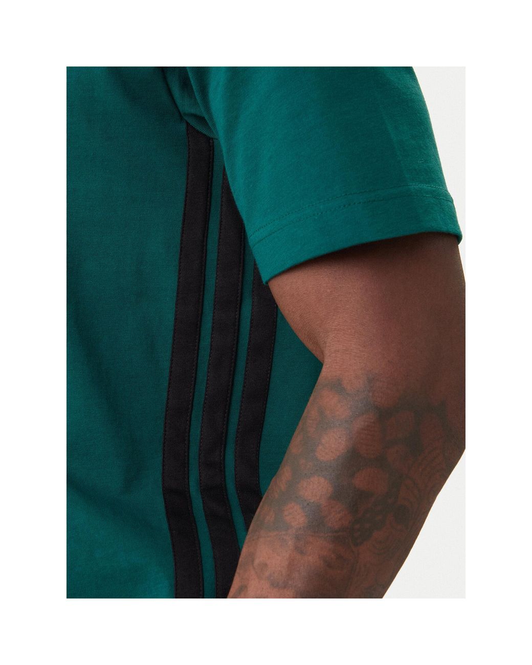 Adidas T-Shirt Essentials 3-Stripes Jd1905 Regular Fit in Green für Herren