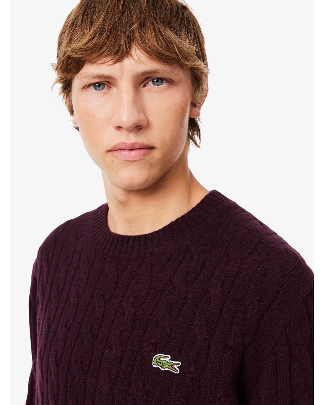 Lacoste Purple Crew-Neck Cable-Knit Sweater for men