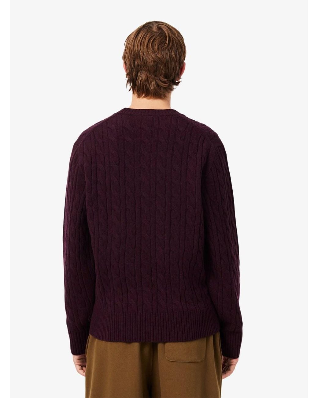 Lacoste Purple Crew-Neck Cable-Knit Sweater for men