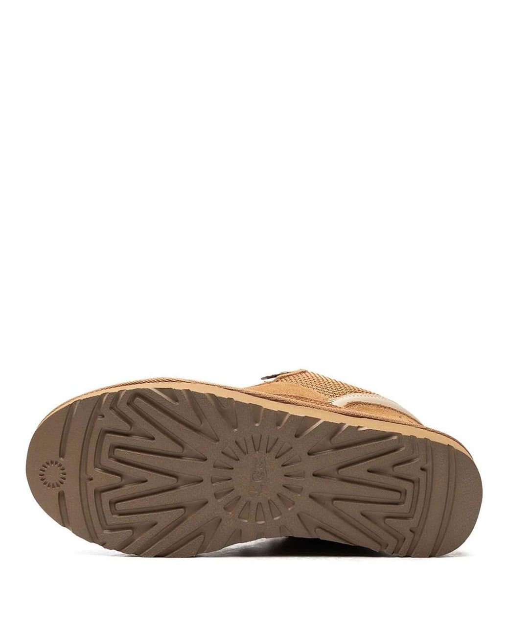 Ugg Brown Lowmel Sneakers