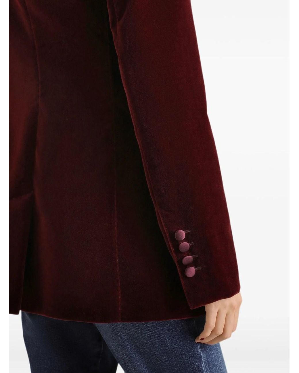 Dolce & Gabbana Purple Velvet Jacket With Leopard Print Lining