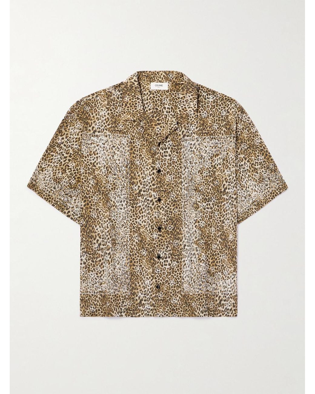 celine-Brown-Camp-collar-
