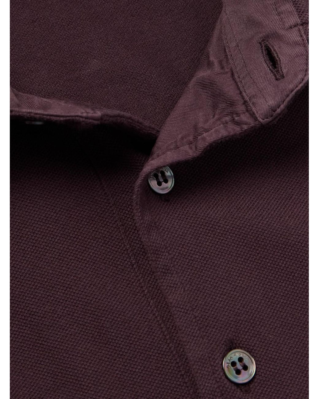 Loro Piana Purple Cotton-Piqué Polo Shirt for men