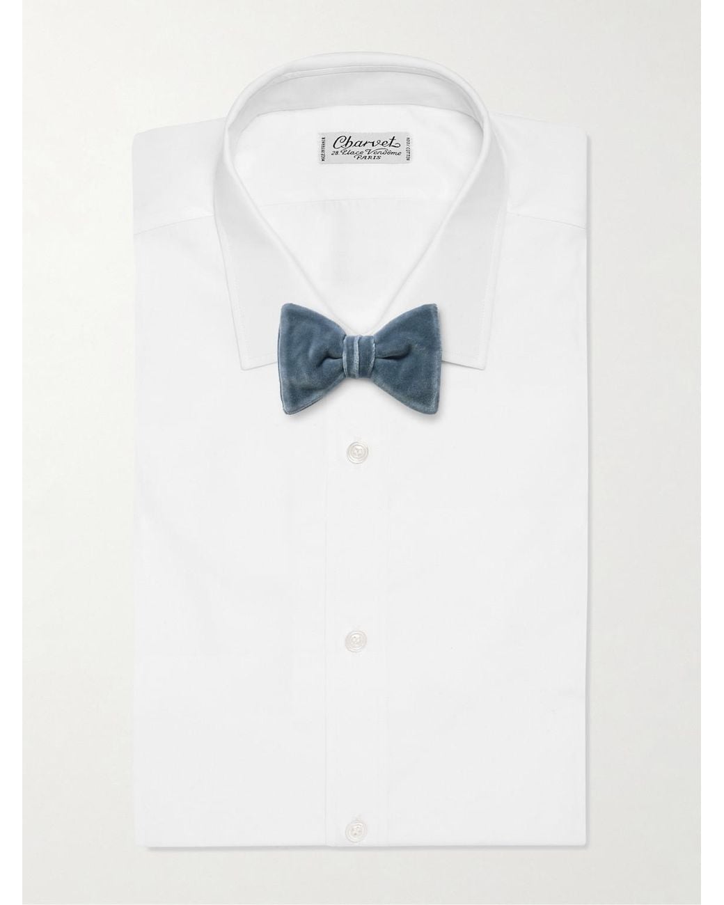 Mr P. Blue Pre-tied Cotton-velvet Bow Tie for men
