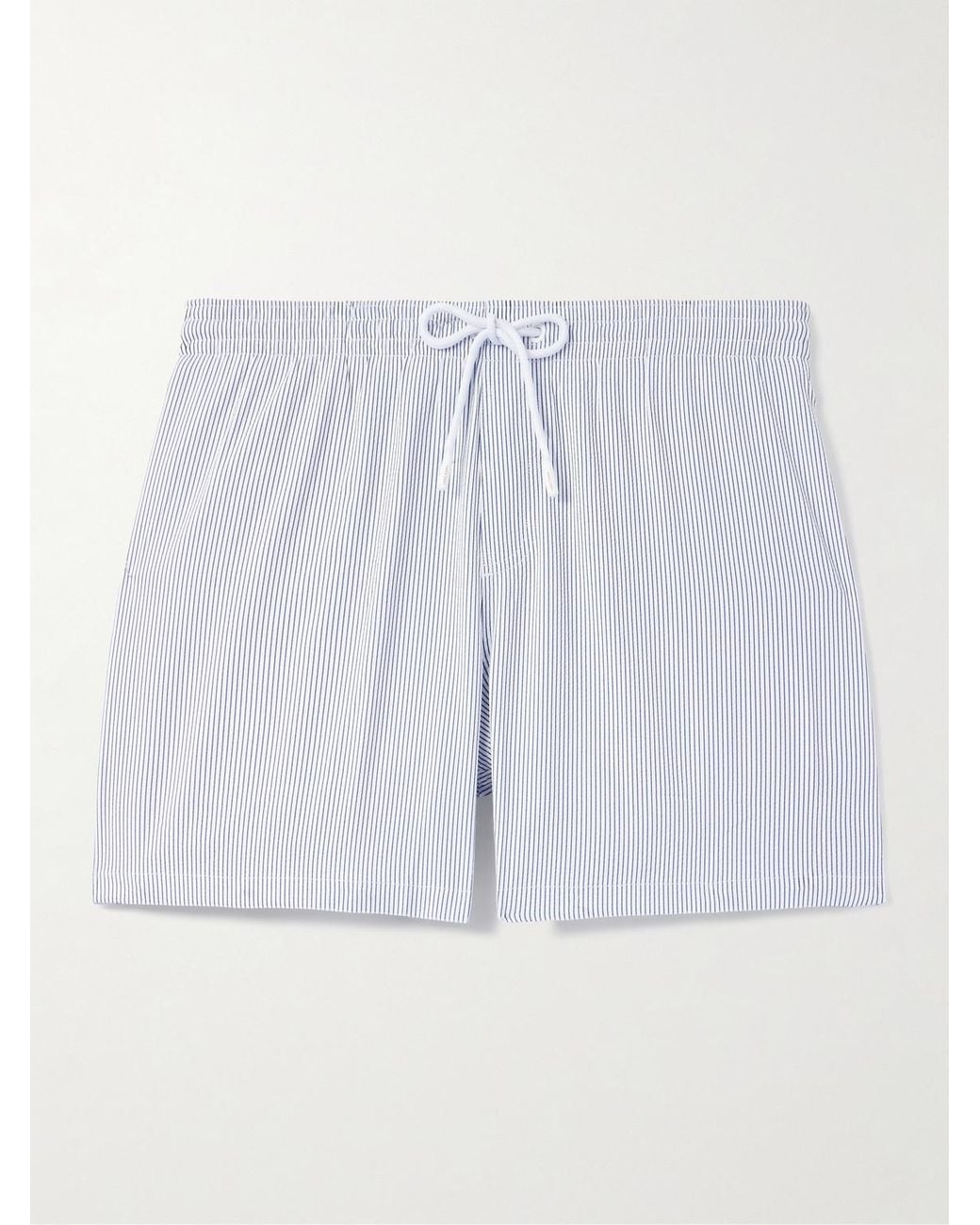 Loro Piana Blue Daneu Straight-Leg Mid-Length Striped Swim Shorts for men