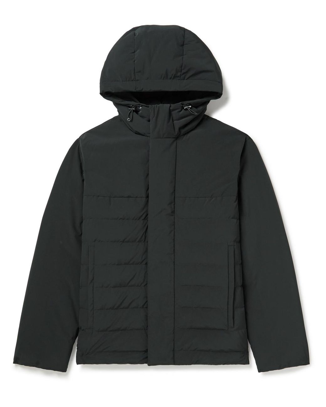 Theory hooded store down coat
