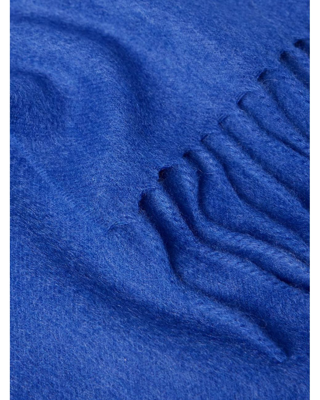 Cashmere Scarf di Charvet in Blue da Uomo