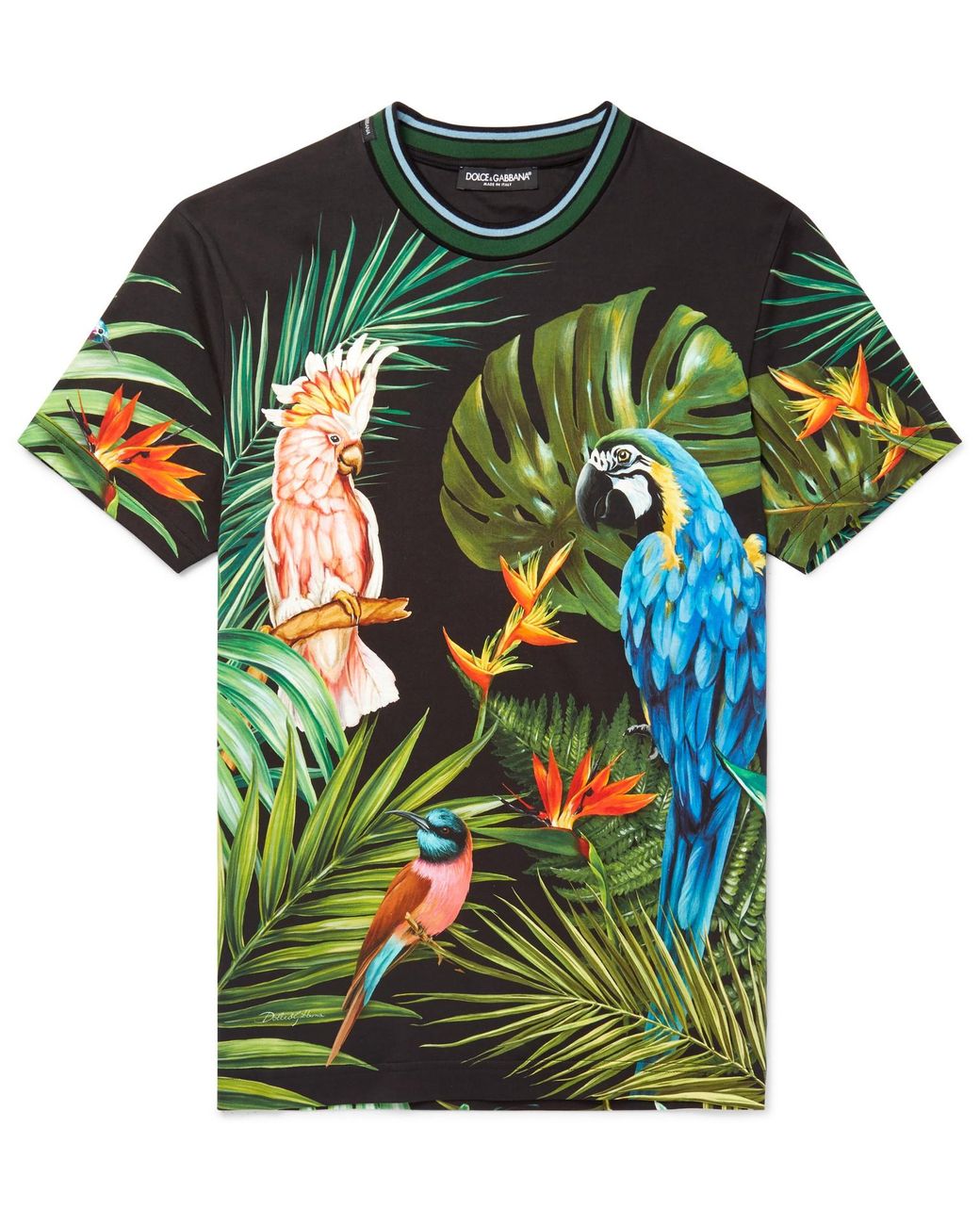 Dolce & Gabbana Cotton Tropical Jungle T Shirt in Green for Men Save