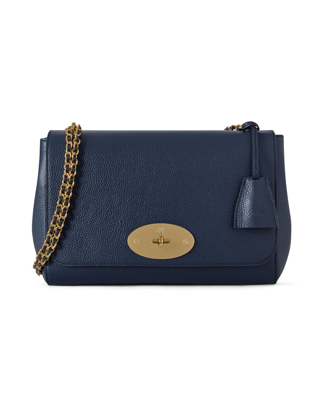 Mulberry Blue Medium Lily Night Sky