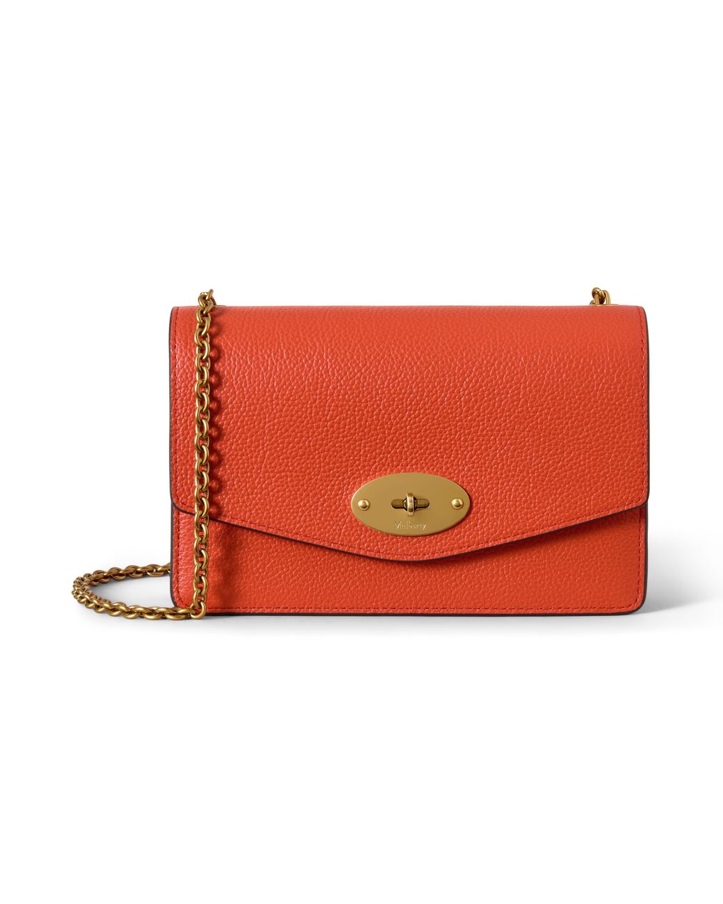 Mulberry Red Small Darley Coral