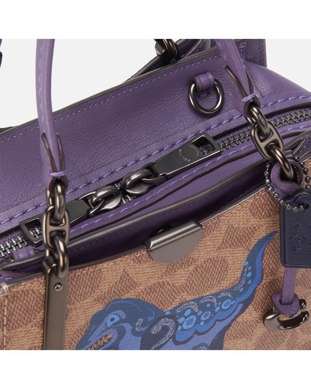 COACH × Zhu Jingyi ダイナソー 刺繍スウェット | ALL ITEM