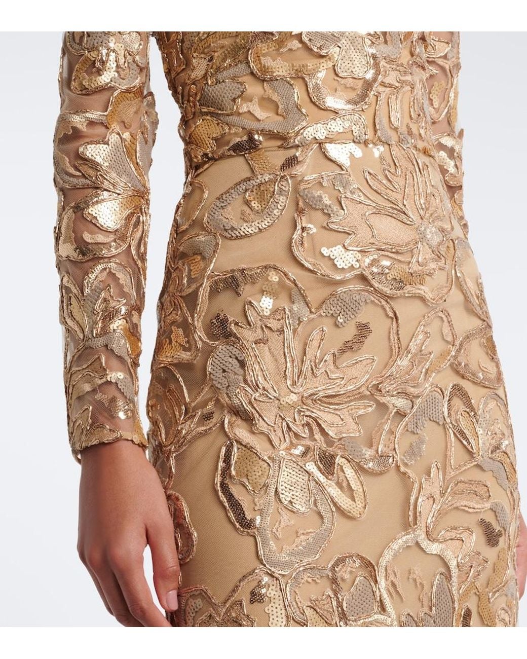 Elie Saab Natural Embroidered Sequined Tulle Gown