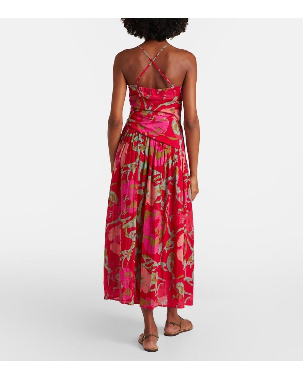 Velvet Red Cosima Floral Cotton Midi Dress