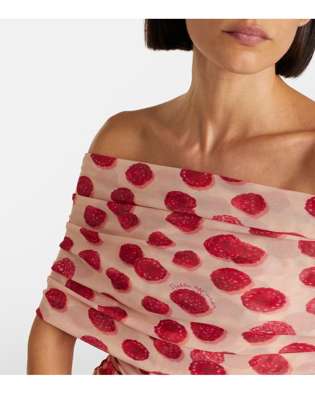 Stella McCartney Red Off-Shoulder Printed Mesh Maxi Dress