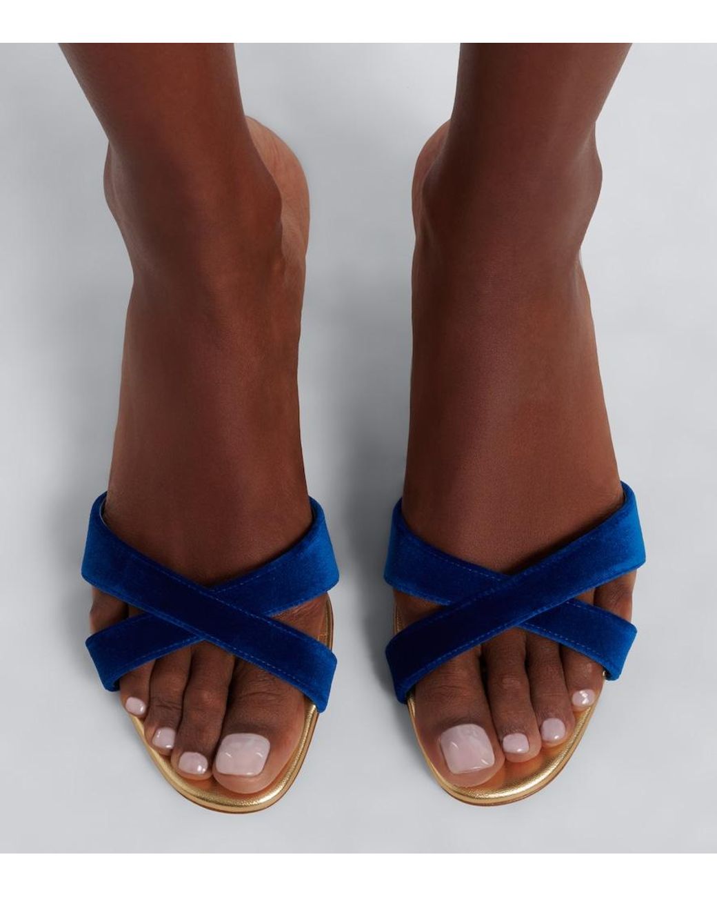 Manolo Blahnik Blue Callydramu Velvet Mules