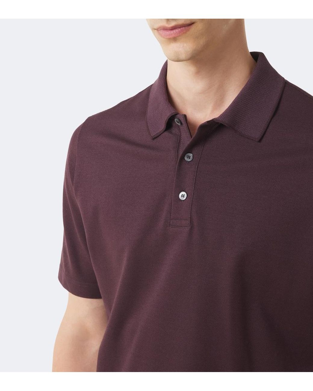 Canali Purple Cotton Polo Shirt for men
