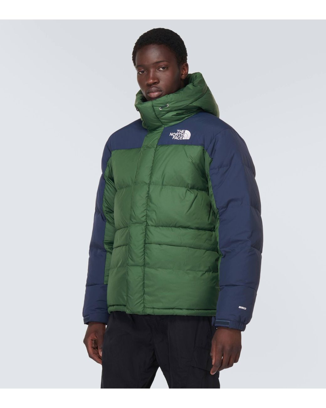 The North Face Hmlyn Down Parka For Men in Green for Men Lyst UK
