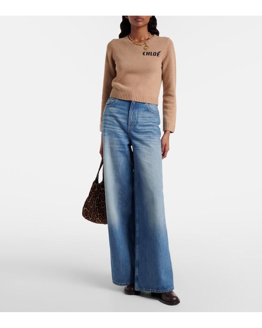 Chloé Brown Dakota 60 Leather Ankle Boots