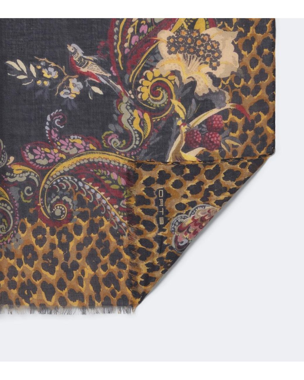 Bufanda De Cachemir Estampada Etro de color Black