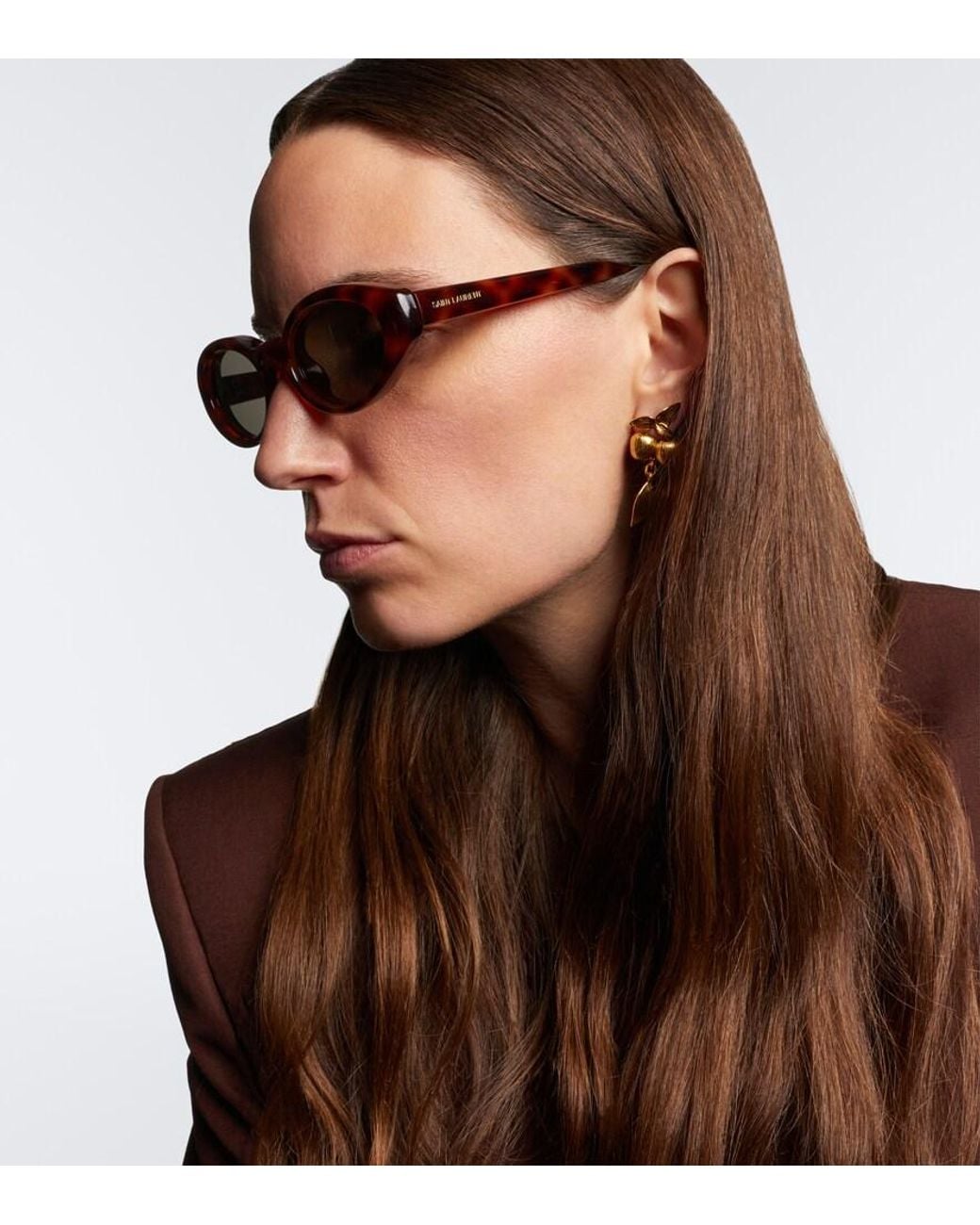 Saint Laurent Brown Sl 567 Plump Cat-Eye Sunglasses