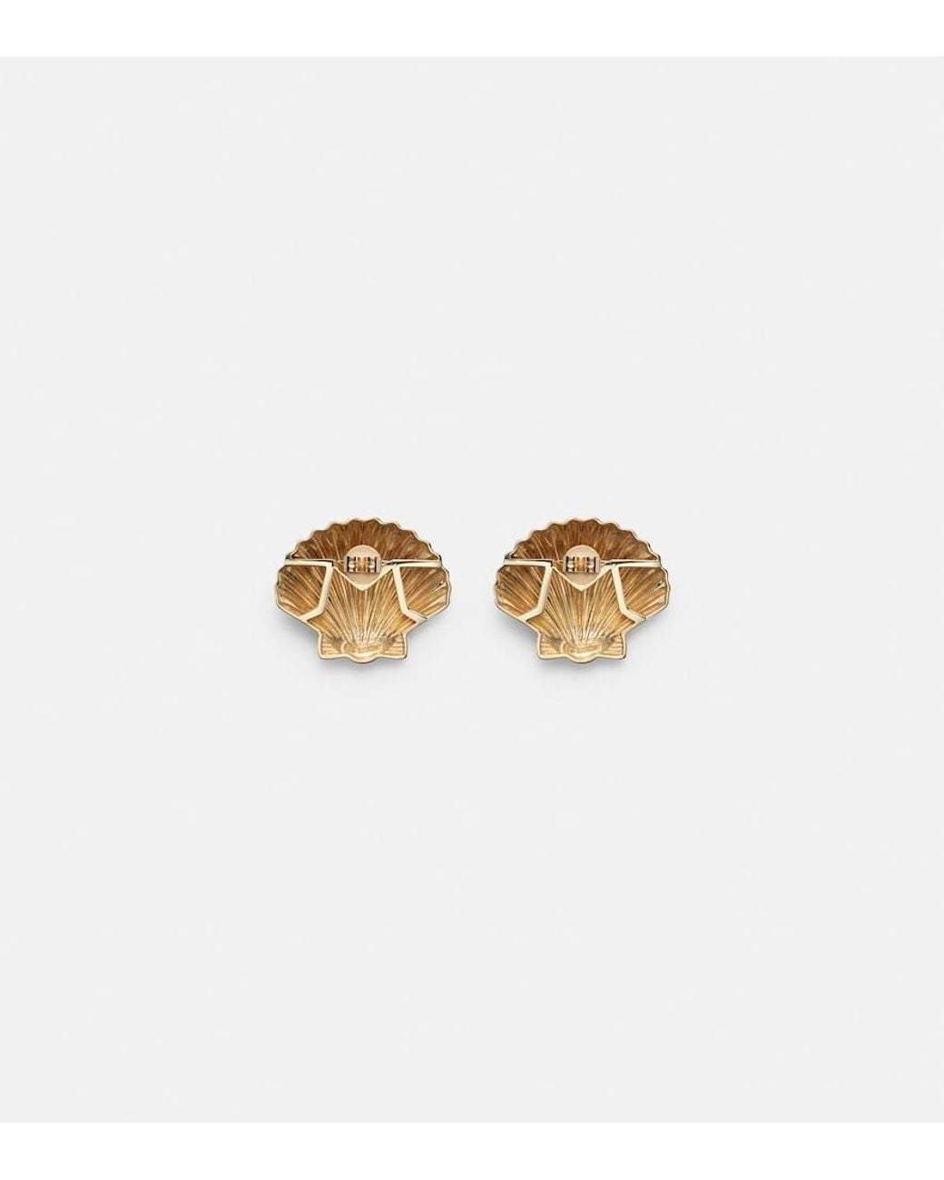 Mateo White Venus Large 14Kt Earrings