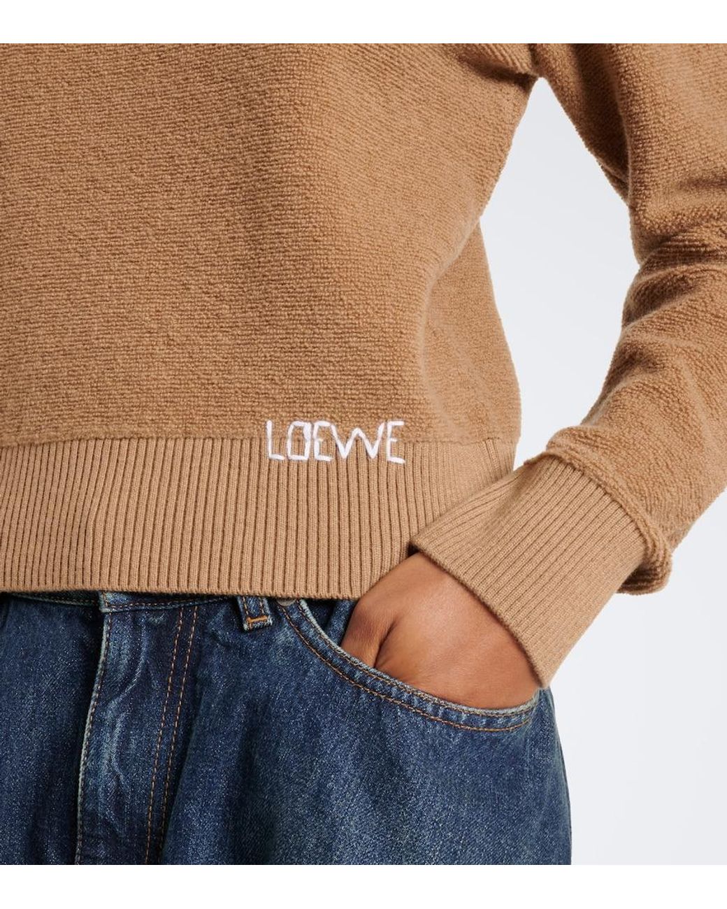 Pullover di Loewe in Brown