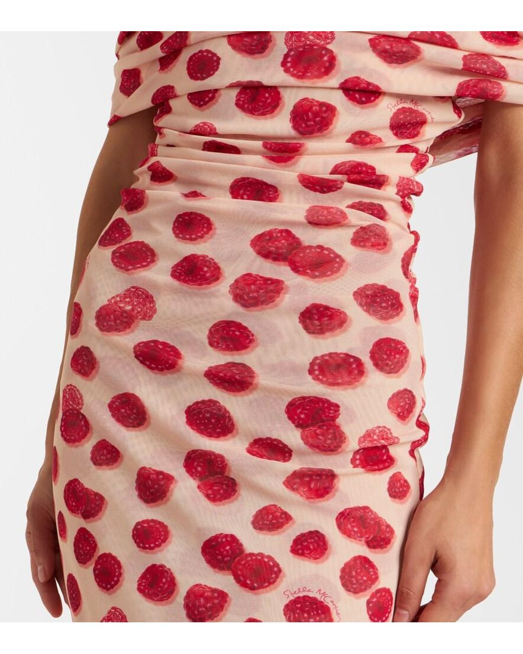 Stella McCartney Red Off-Shoulder Printed Mesh Maxi Dress