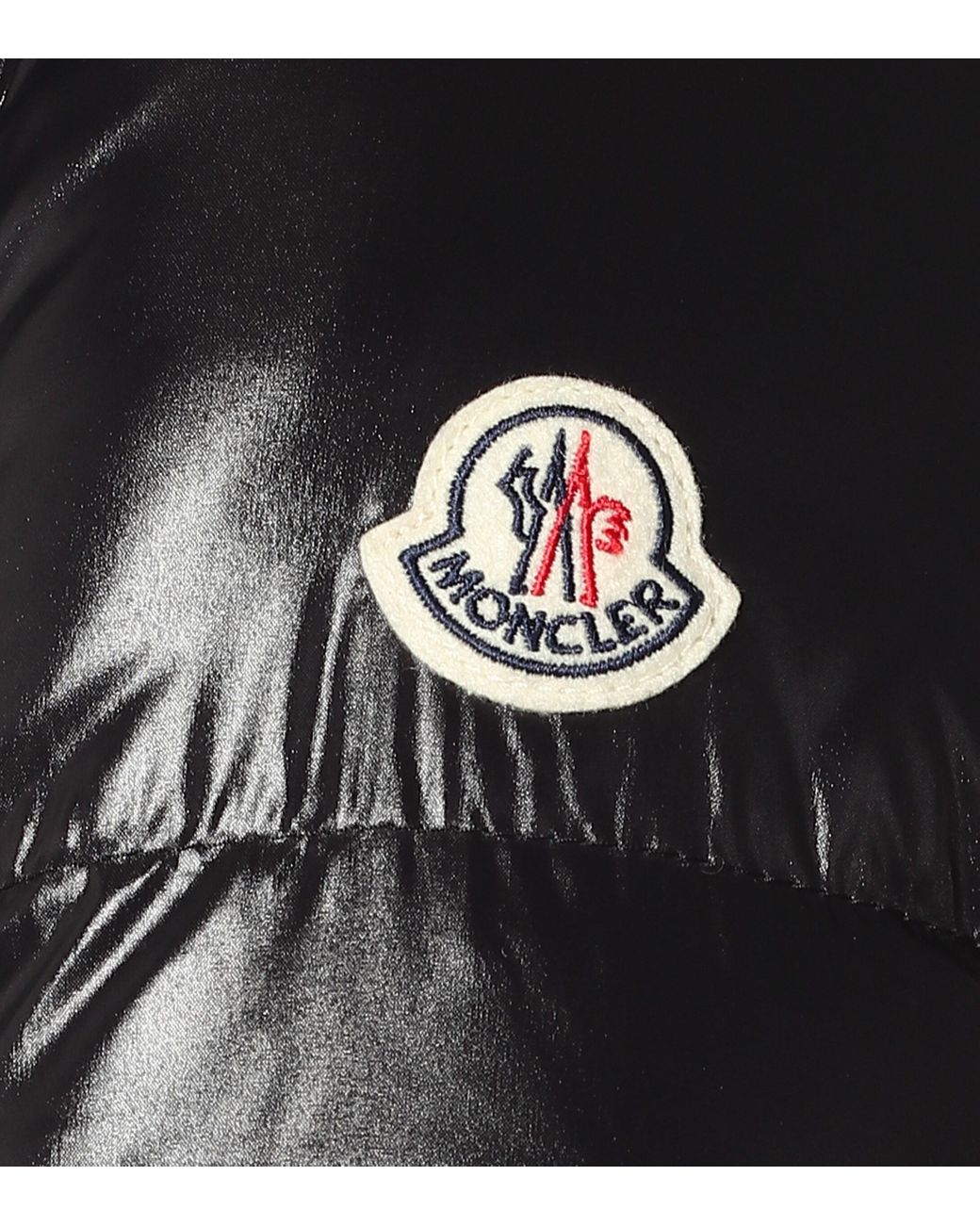 Moncler Ribafur Hooded Down Coat in 