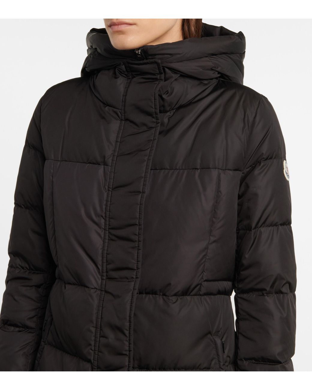 Fatsia moncler 2024
