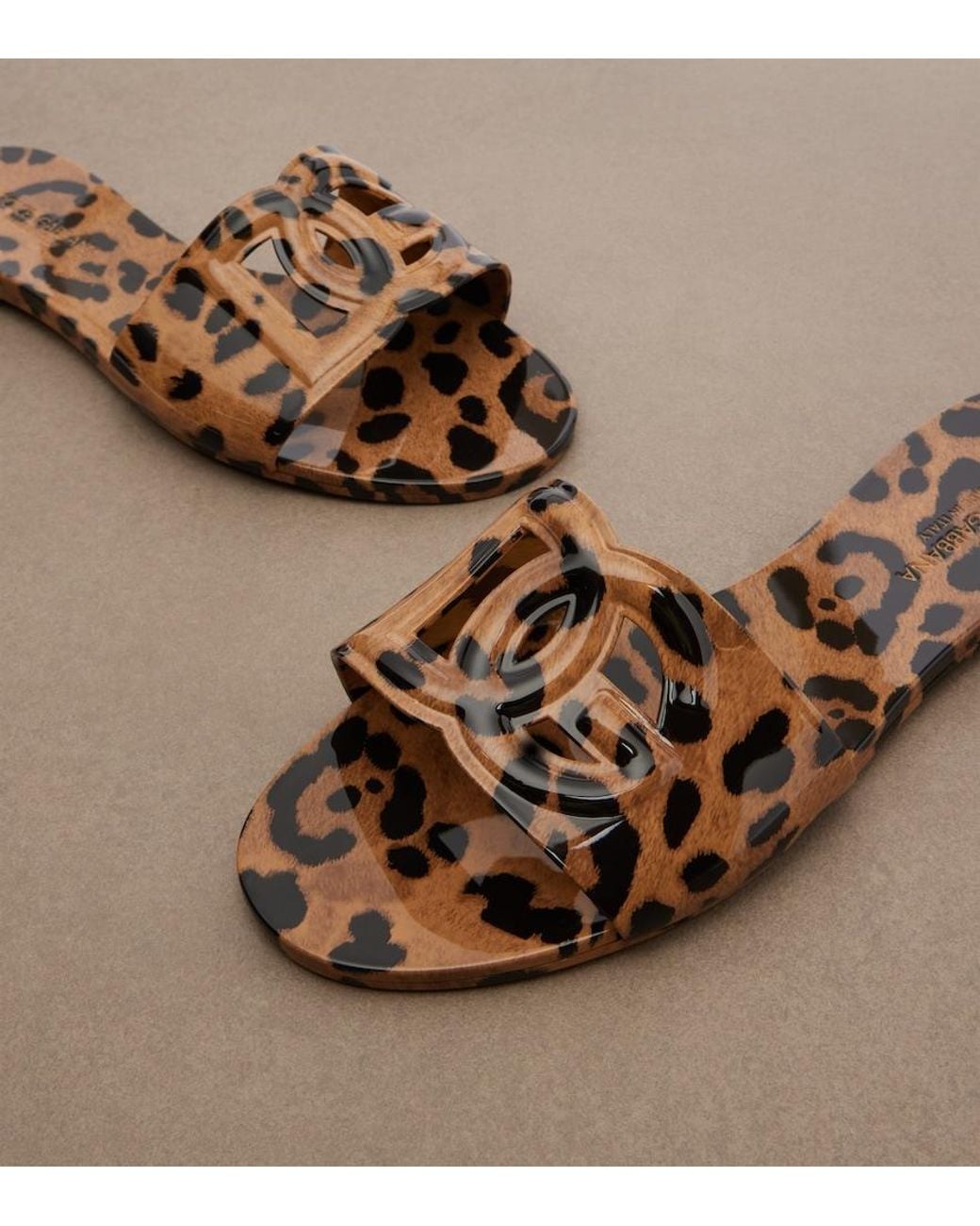 Dolce & Gabbana Brown Dg Leopard-Print Slides