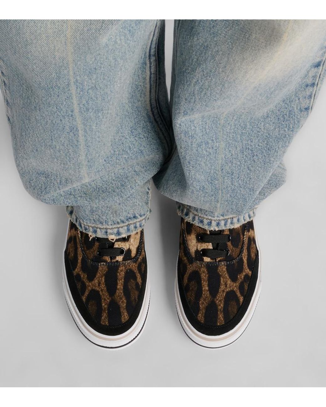 Dolce & Gabbana Brown Leopard-Print Canvas Sneakers