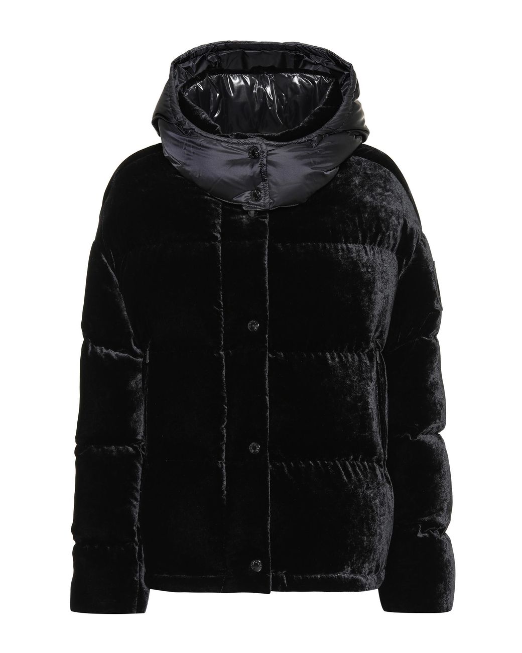 Velvet best sale moncler coat