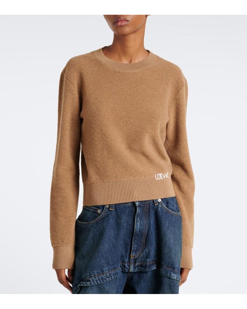 Pullover di Loewe in Brown