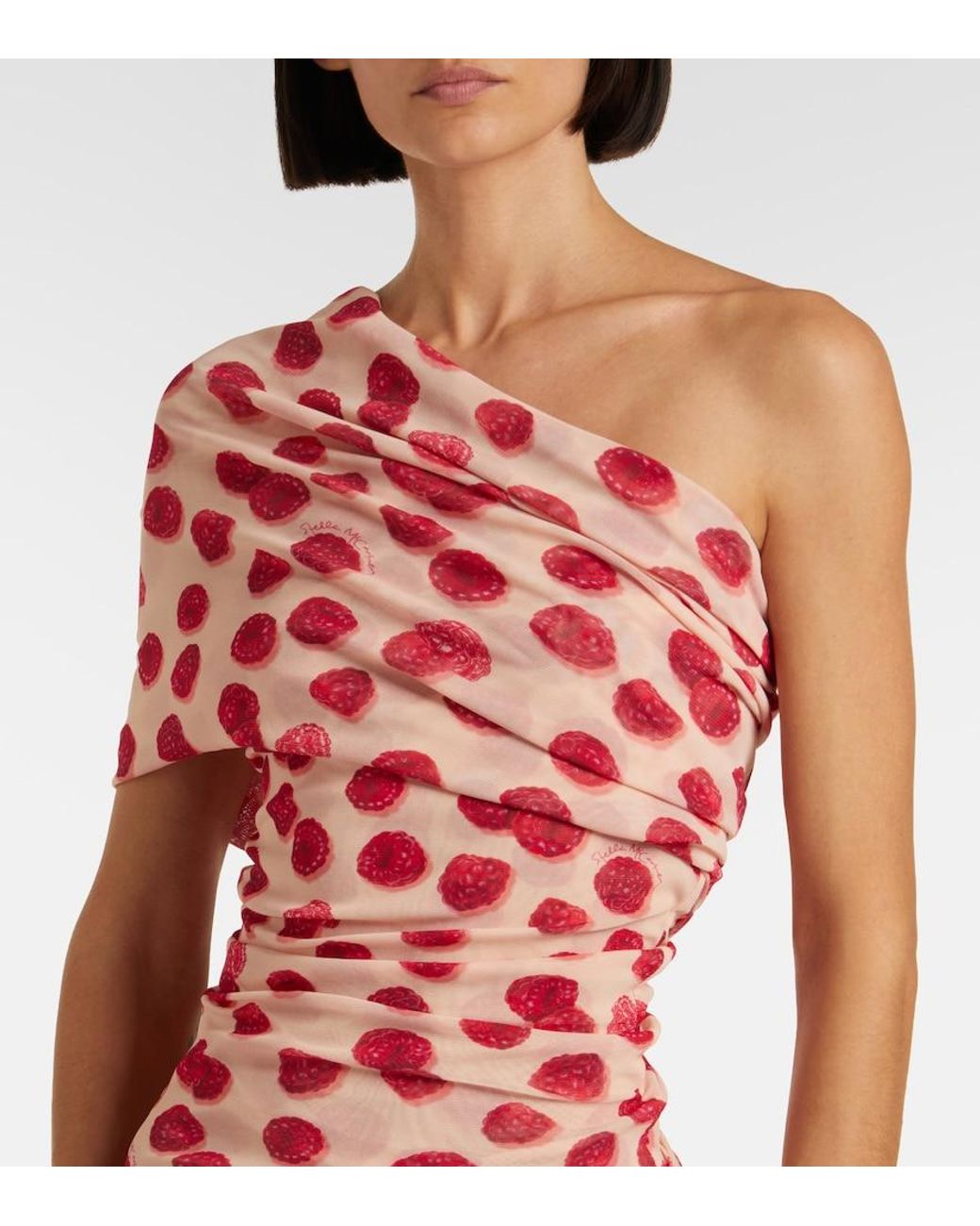 Stella McCartney Red Off-Shoulder Printed Mesh Maxi Dress