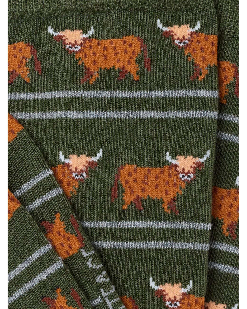 FatFace Green Highland Cow Socks for men