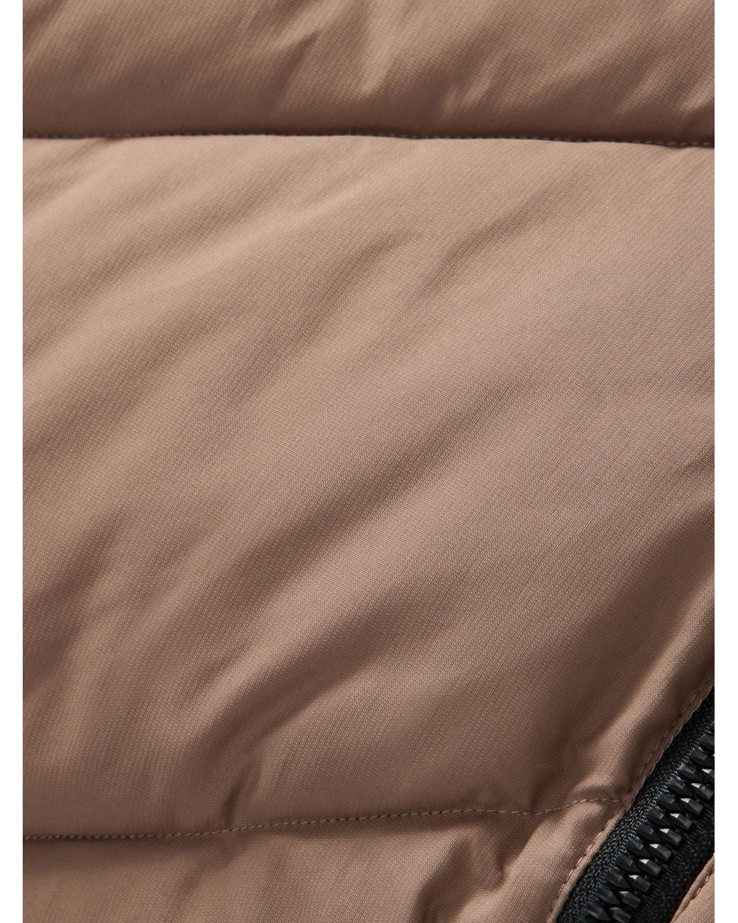 Regatta Brown Merida Baffled Jacket