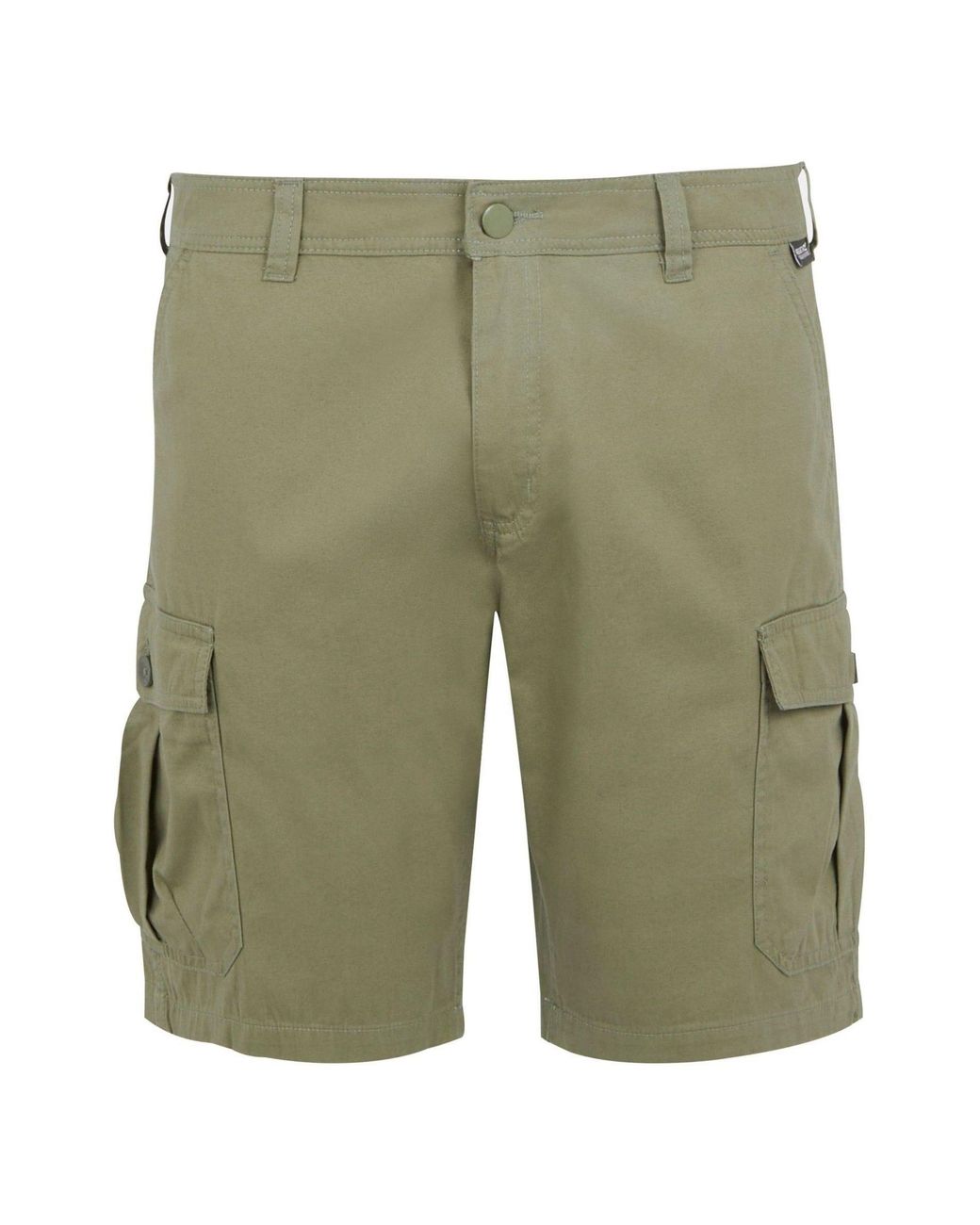 Regatta Green Ruwan Shorts for men