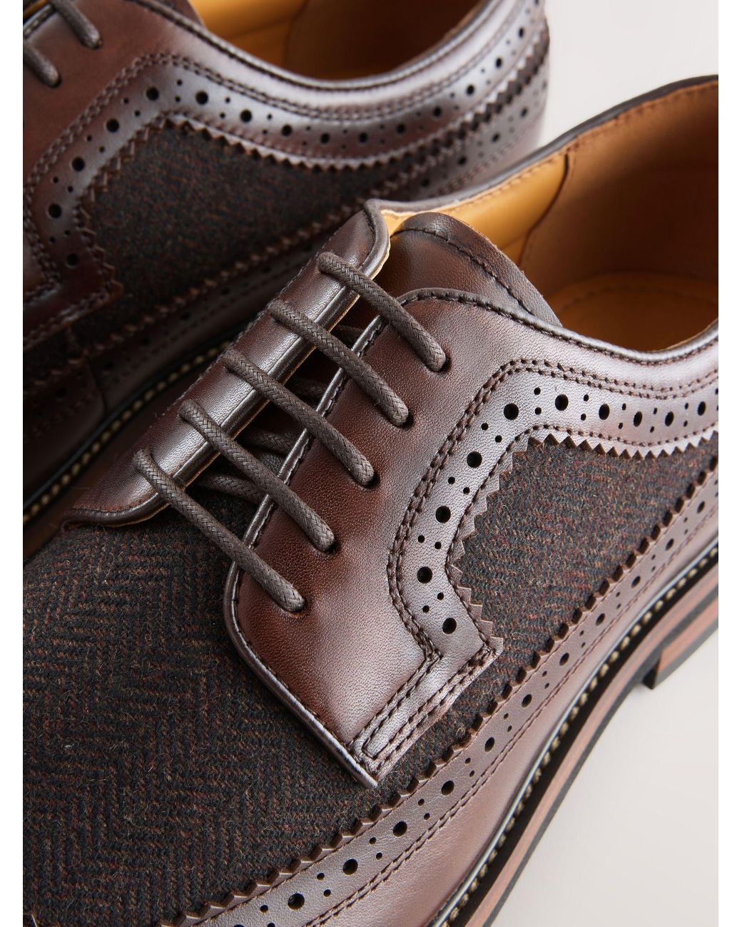 Next Brown Leather Brogue Shoes for men