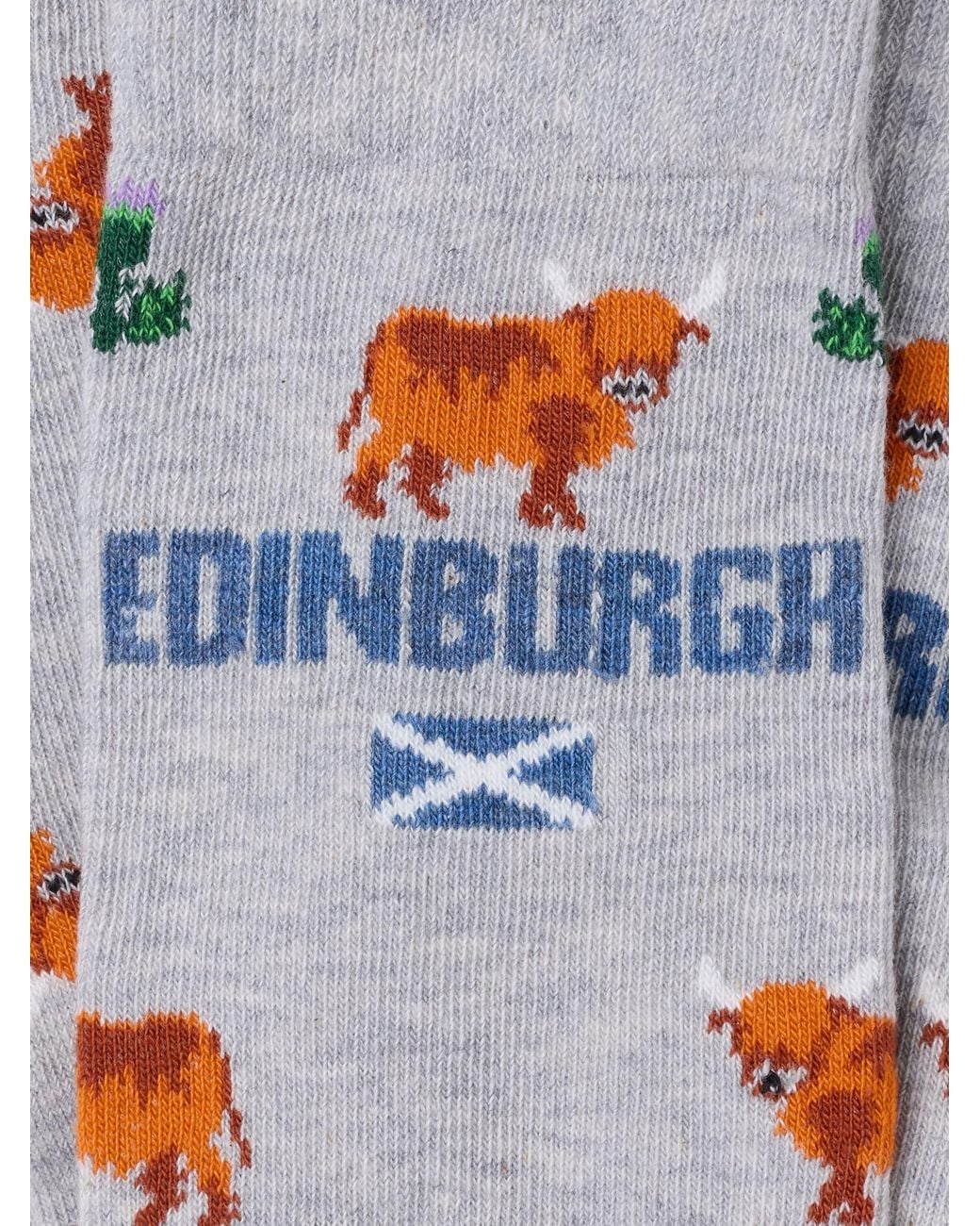 FatFace Blue Fatface Edinburgh Socks for men