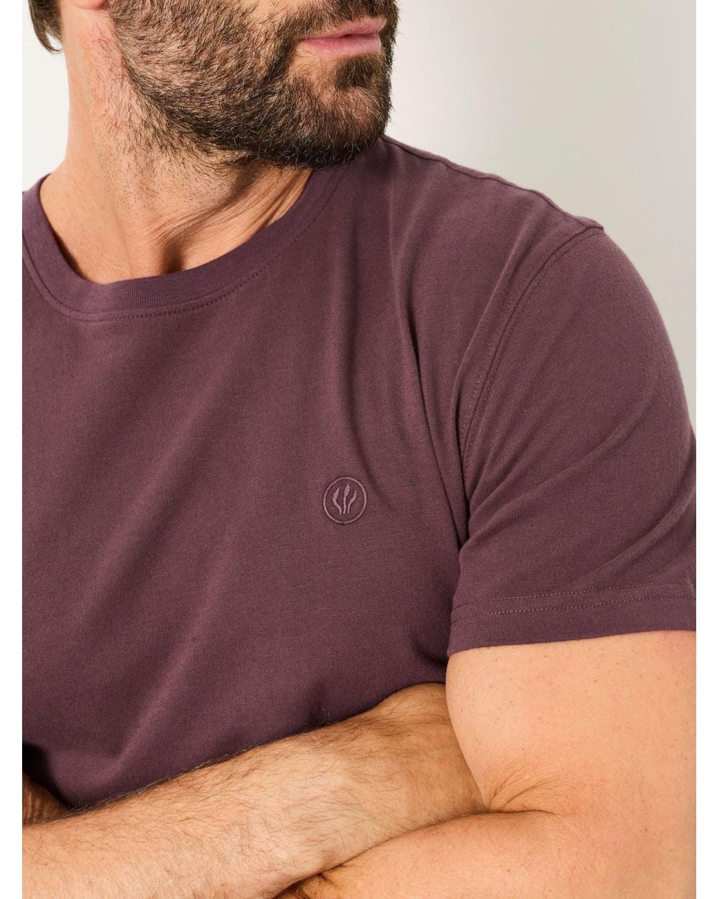 FatFace Purple Lulworth Short Sleevet-Shirt for men