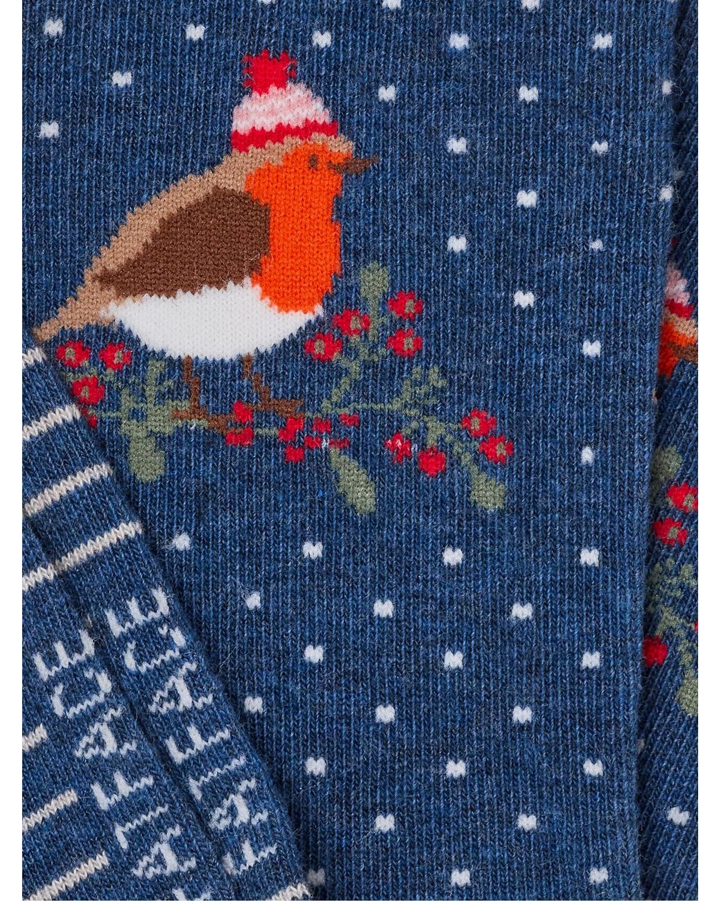 FatFace Blue Fatface Robin Socks