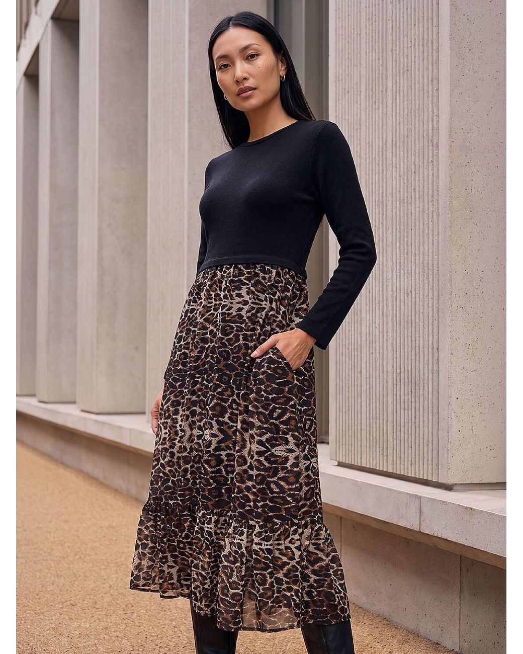 Roman Roman Roman Brown 2