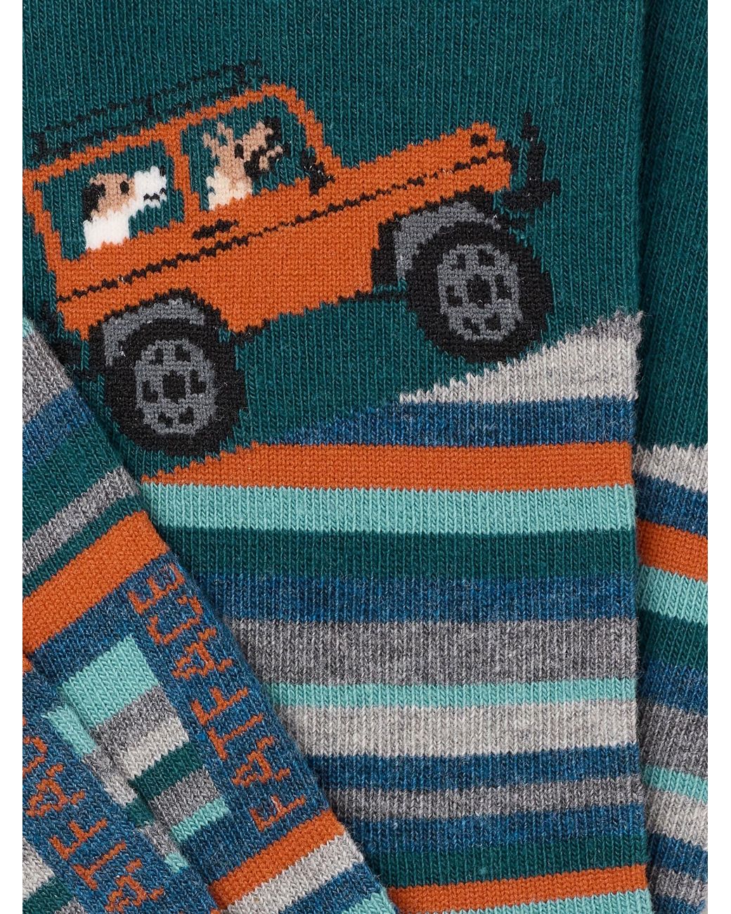 FatFace Blue Off Roader Dog Socks for men