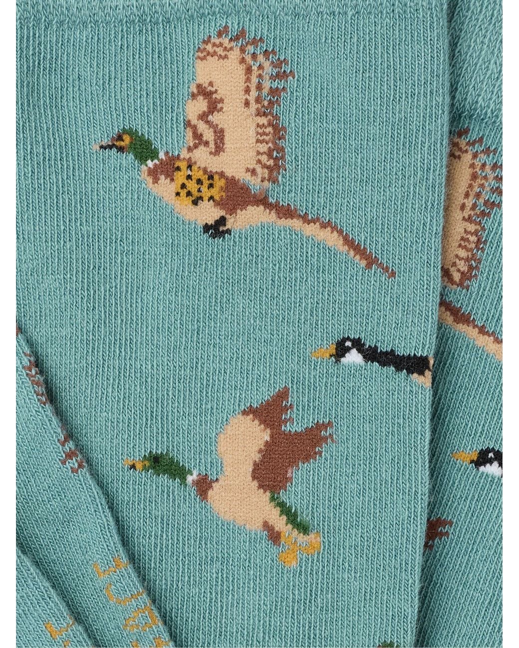FatFace Blue Fatface Geese Socks for men