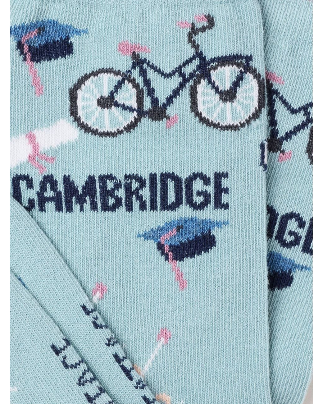 FatFace Blue Fatface Haze Cambridge Socks